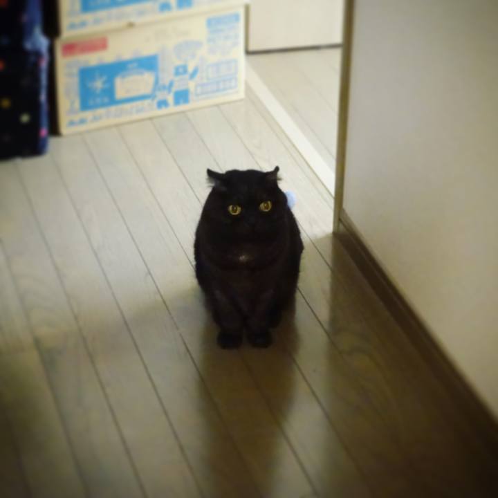 A46a6793 d786 41c2 a17b 37d4c116a98c 1580445104201