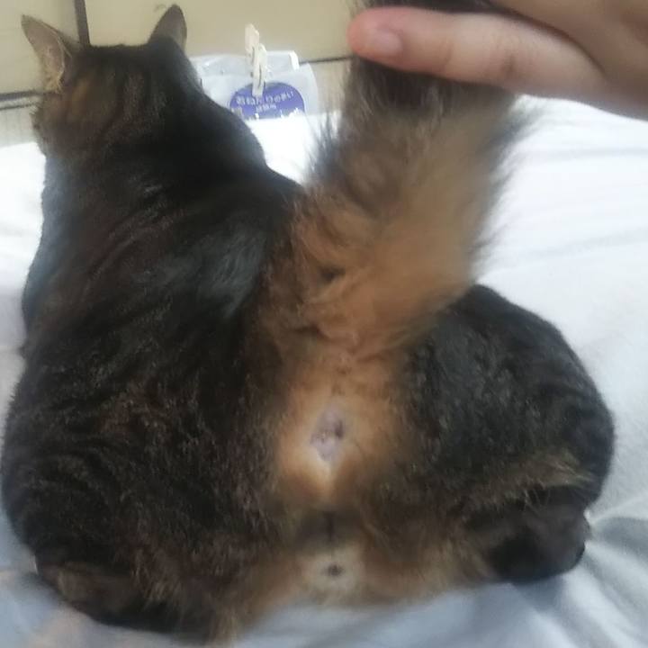 A46aaaec 47be 460f ab2d fd0a81671c88 1627076969553