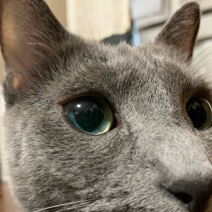 A46aae58 7f9e 4be0 b184 8773093caaab 1568453350042