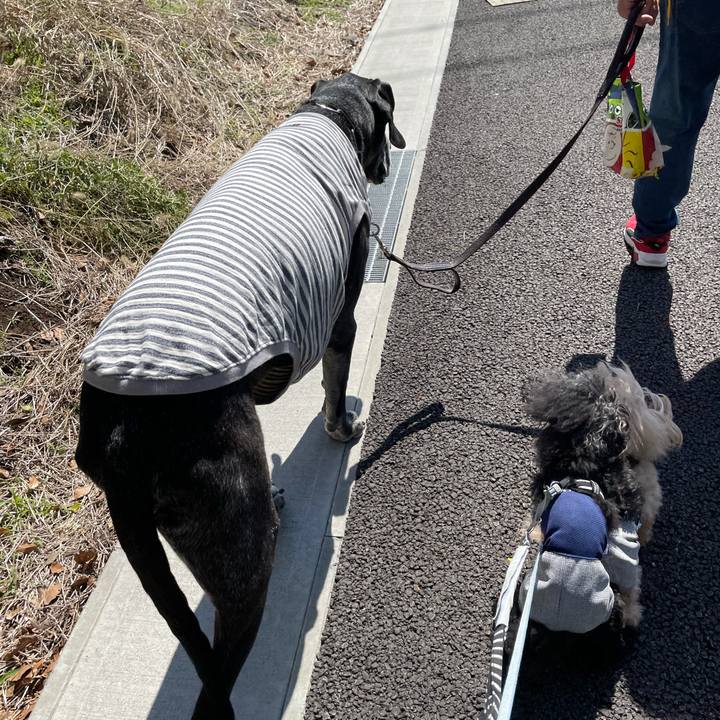 A46ab296 567c 4228 8b3a ed0583431c33 1620017441125