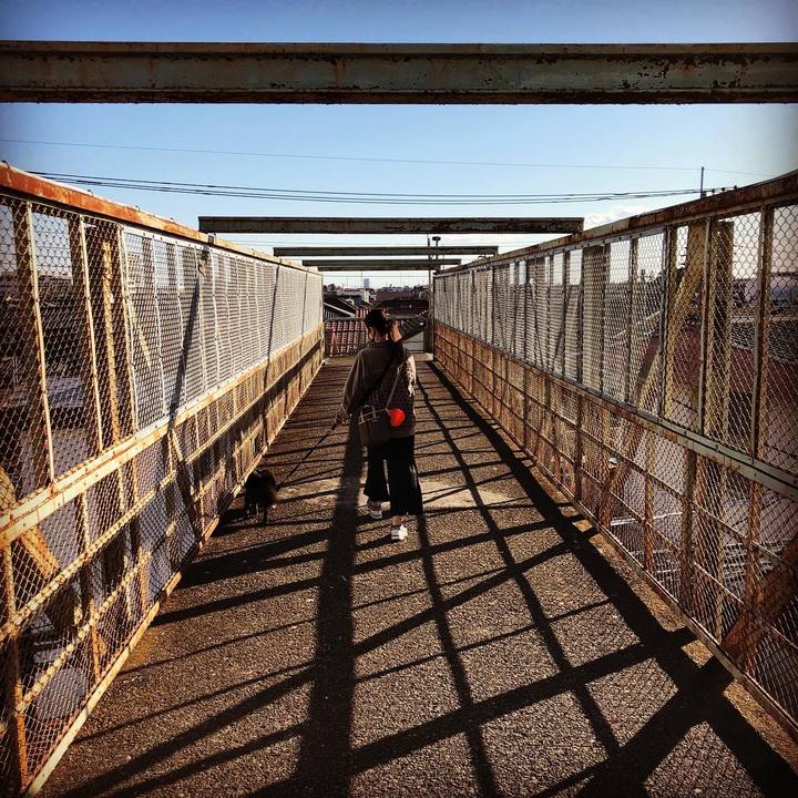 A46ac2ee 30f9 4a93 882f 0bcad8c10cc3 1606276063888