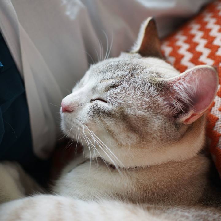 A46ad79b 5b9a 47dc b903 0159816ce1f9 1528894557880