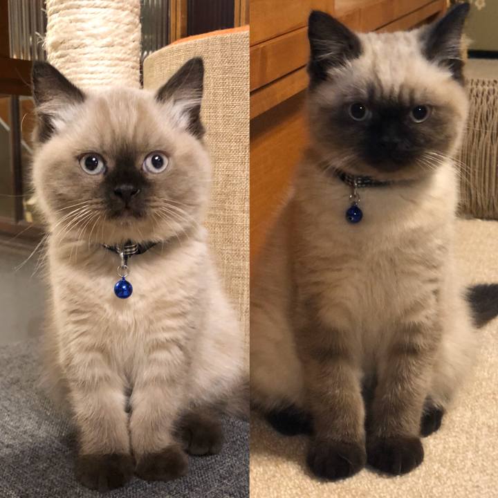 A46adf1a ff78 4478 a7c6 d8f9374e8de4 1588906282105