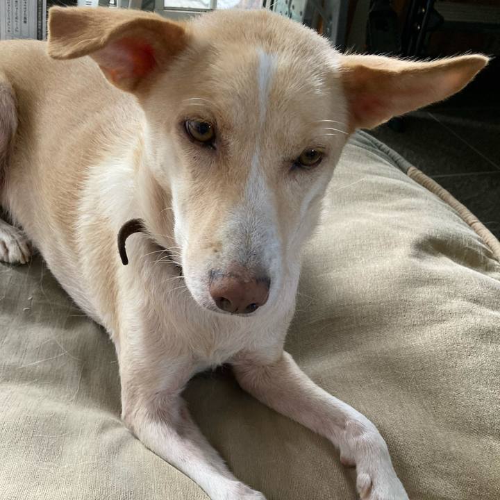 A46ae01c 6d66 4c25 8d3a 57e627191d01 1631457311202