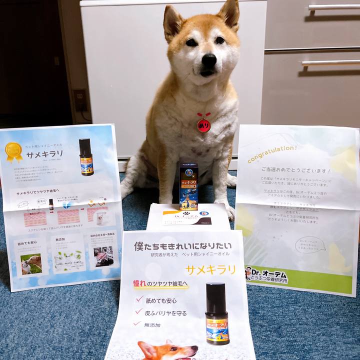 A46b1a22 5925 4798 8d28 588dd3f07a2e 1718700885995