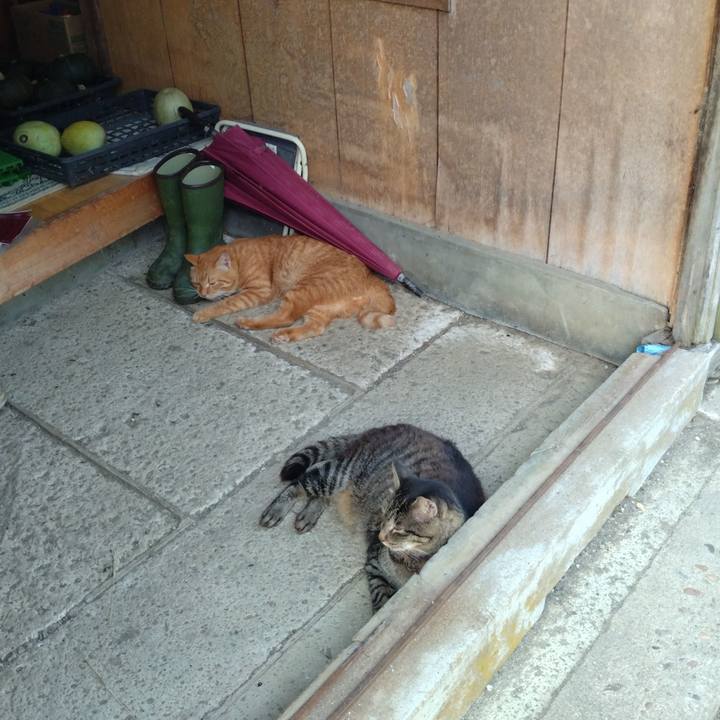 A46b584d 59d3 4305 a9b3 ba3bc9bf8296 1755680585359