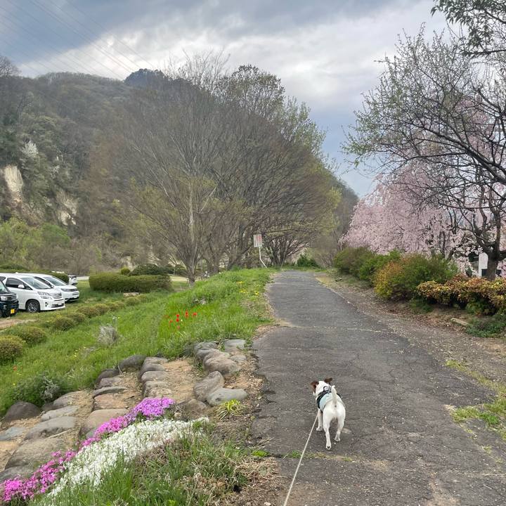 A46b6524 19bd 4396 8154 d7064ab36828 1745279596111