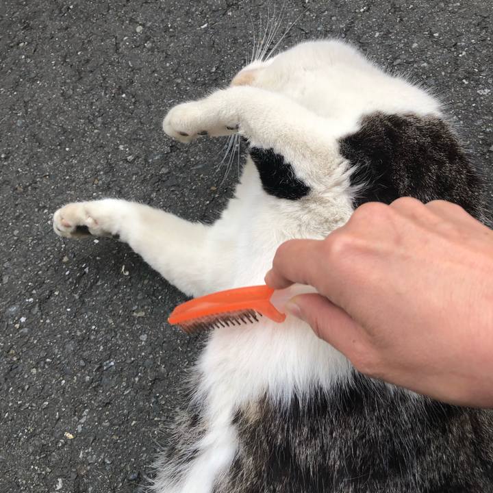 A46ba64f 9071 4d4e a8b1 6727f9f81697 1522834764440