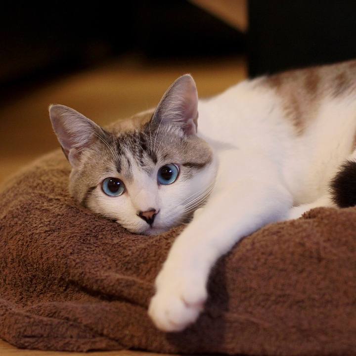 A46bcda4 40b5 4307 a961 420a33f2db6d 1653623821658