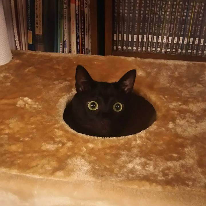 A46be784 ab12 4fc7 a449 b1dfb1357559 1548236737337