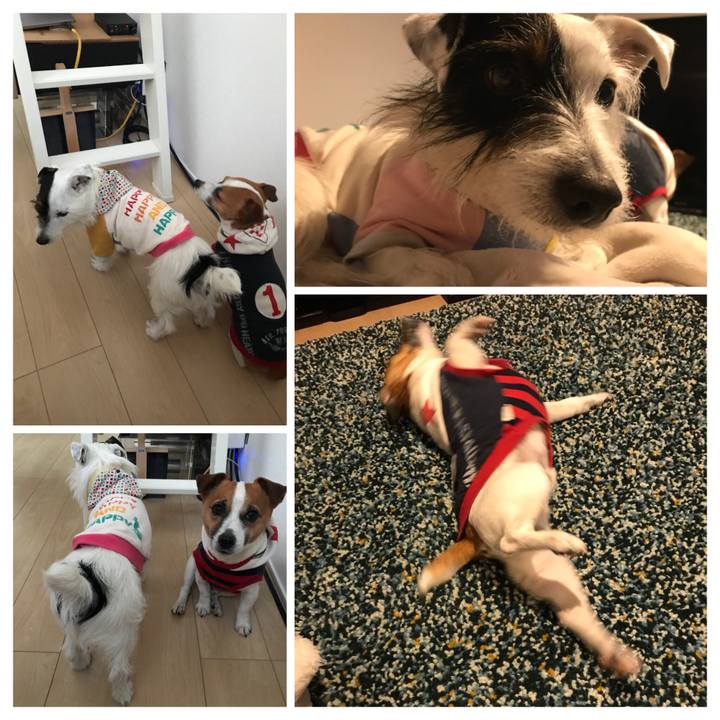 A46becab 2bfb 436a 98fe 9cd50e33c4c7 1519720959417