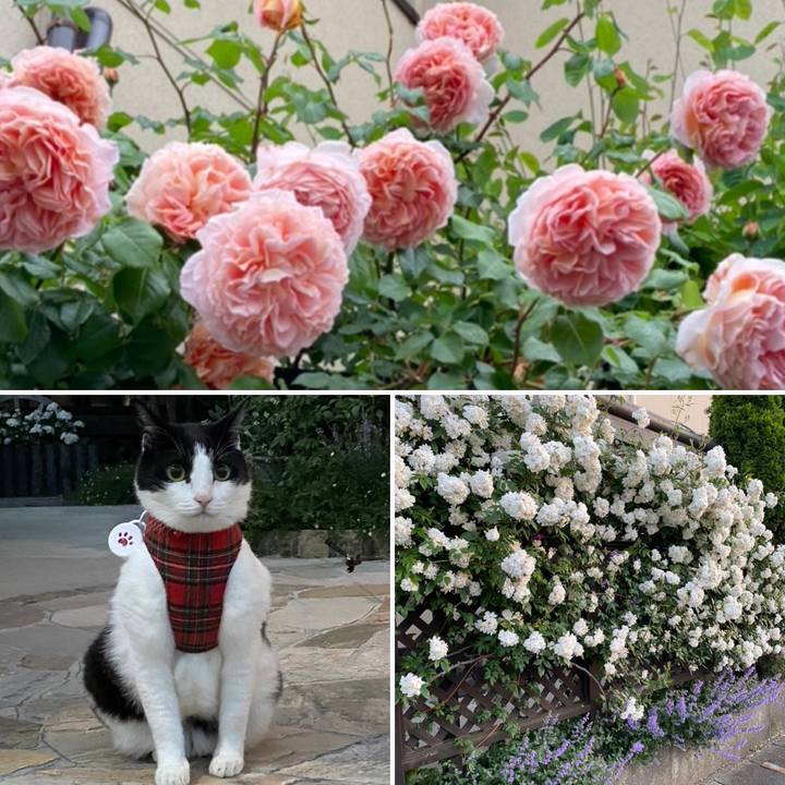 A46c448c 73dc 4d46 a5b8 ce4fe09825aa 1665620692002