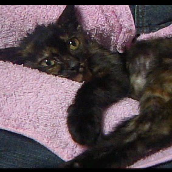 A46c4cb1 4ab9 450a bdeb 37d6b7f86a11 1600477620187