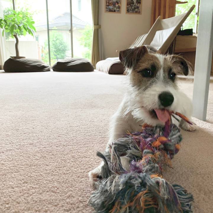 A46c5651 eb1a 4259 b318 97c5a0f1f3c4 1563706528034