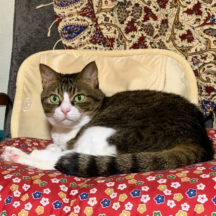 A46c6f8c 39f3 493e 8e1b 8aa073a8e04d 1605182406964