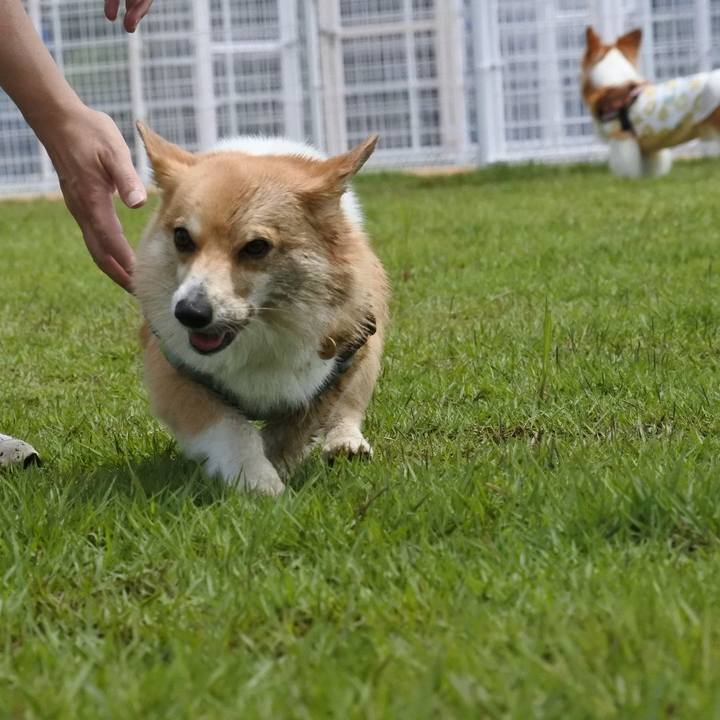 A46c7bf7 31b6 4f80 b339 6ad4461cf68c 1595751704062