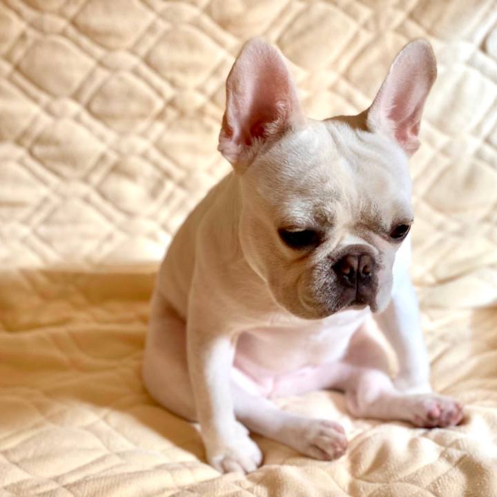 A46cb213 d401 4504 871f 33bc30ea6f55 1651331363510