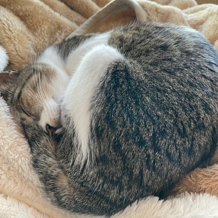 A46cbd5d 0068 4625 9ba9 f3cabfc98e80 1646444684974