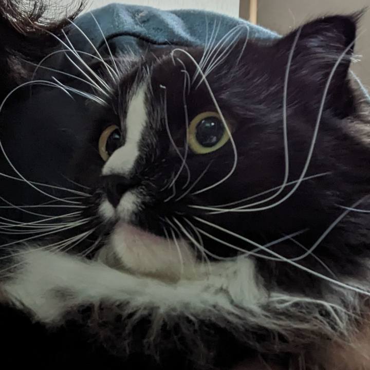 A46cd3c4 f53a 4d24 90ec 150fe448a189 1682942455842