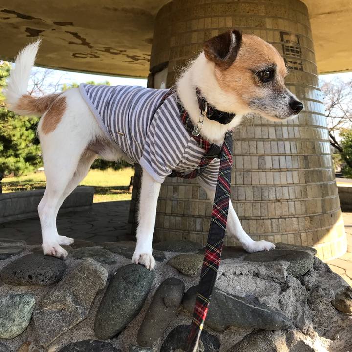 A46cdcc9 618a 45f8 9e20 e18b2c34eaf6 1541214217007