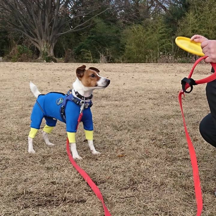 A46ce2e8 9f4f 4c41 af01 90c4b76e2337 1546075449996