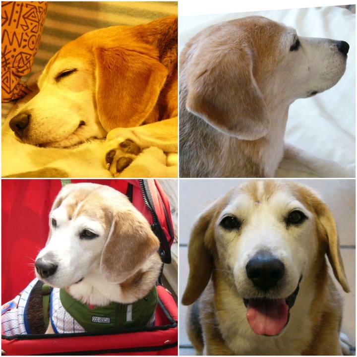 A46cf577 36ce 442a a866 0ab2a5e38c74 1573300799751