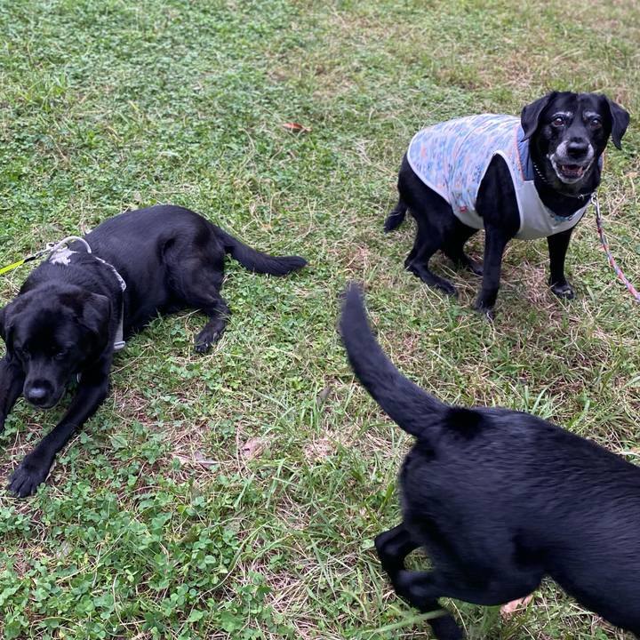 A46d07d9 3813 4e34 b9ef 404c1d918c02 1632564285744