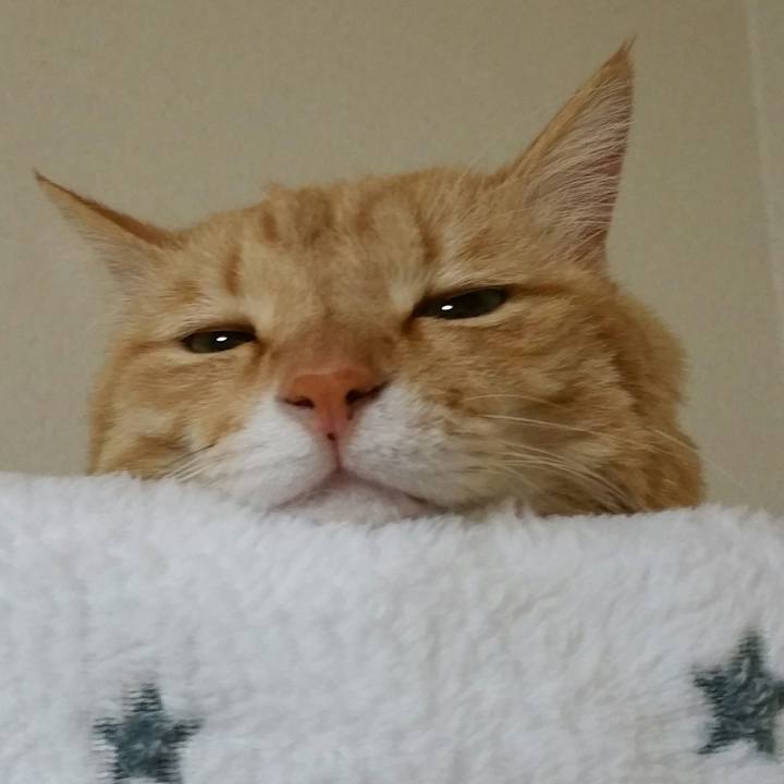 A46d1a2d 550a 4311 a909 16af4350c7c6 1554162830681