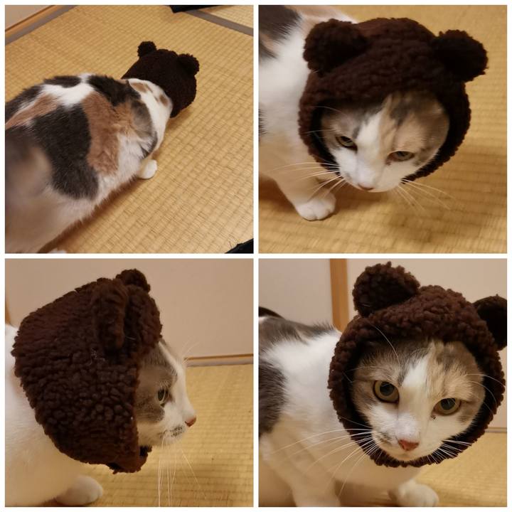 A46d2f33 9ccf 4ebd a268 1ab82aad2337 1611986280175