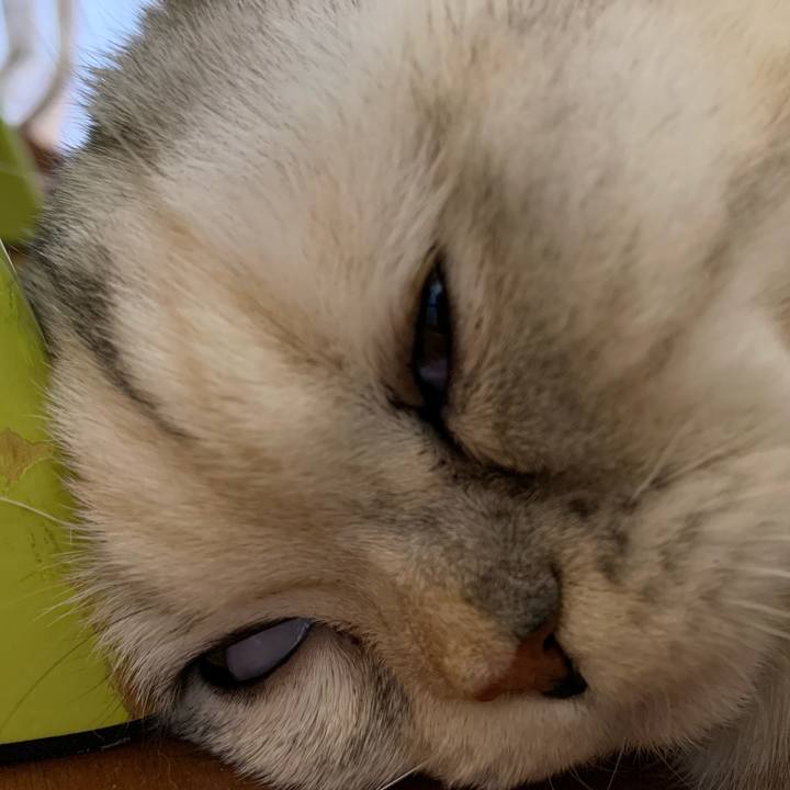 A46d65be 6449 4e08 975d 46ca3bc6c775 1709027427545