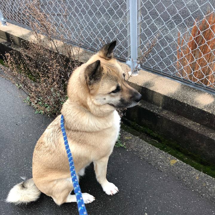 A46da04e 5ee0 4220 a64a 94cb6c86dbbc 1551600958968