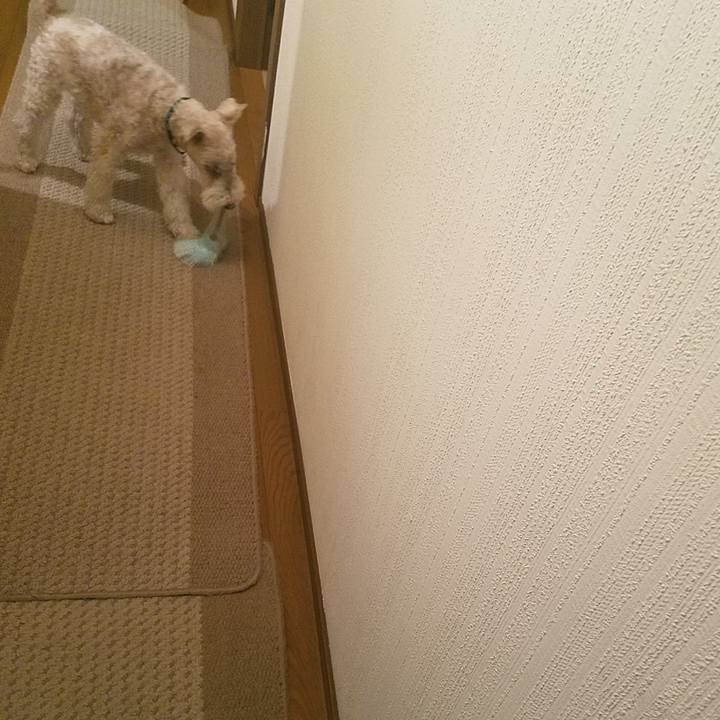 A46dd021 970c 4001 9949 3820dcf37a2f 1572476356107