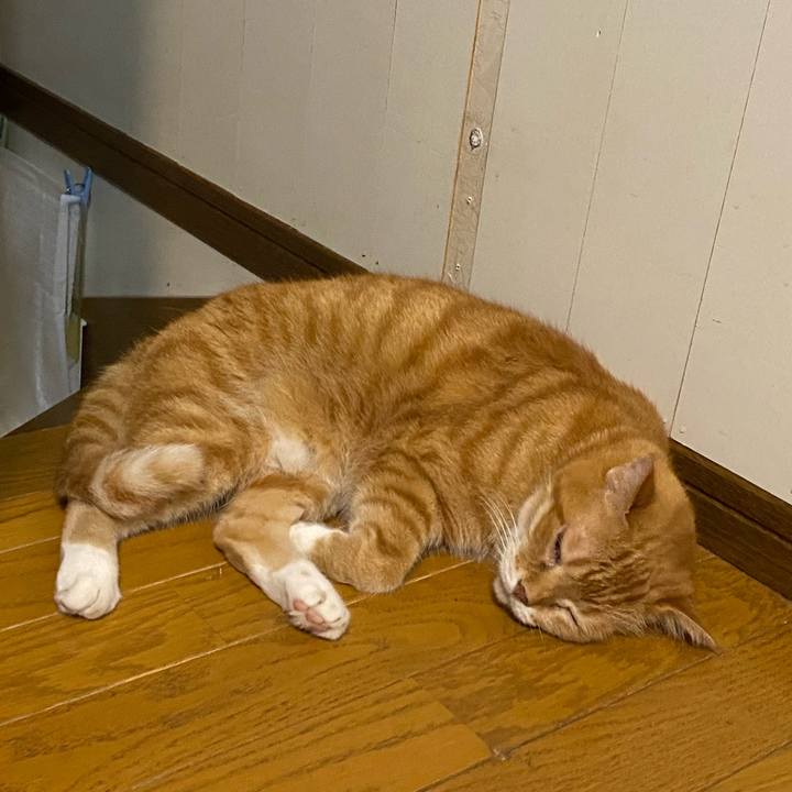 A46de0c4 07f1 45af b57e 1f1667ee1620 1659016403856