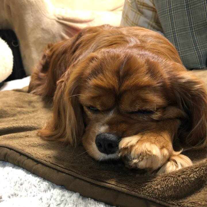 A46df9a1 9bea 4bd0 b6c1 2a67cb67d371 1614636760803