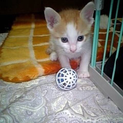 A46e1e78 3373 4c30 8d23 be1947a18550 1680028319004