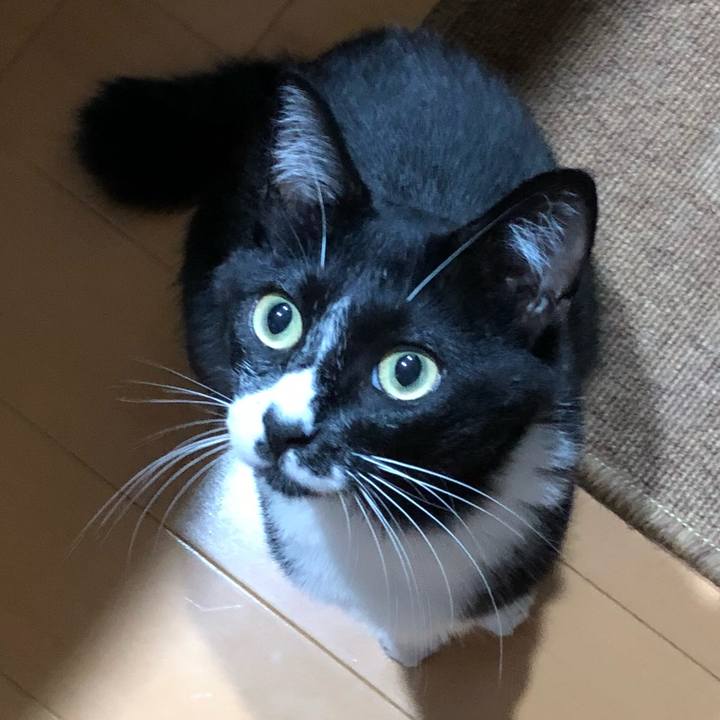 A46e1fd6 bef0 45a5 8208 1b2d14e04bd8 1532058505961