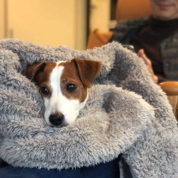 A46e2d79 b000 4f9d b090 422d74be087a 1673845766966