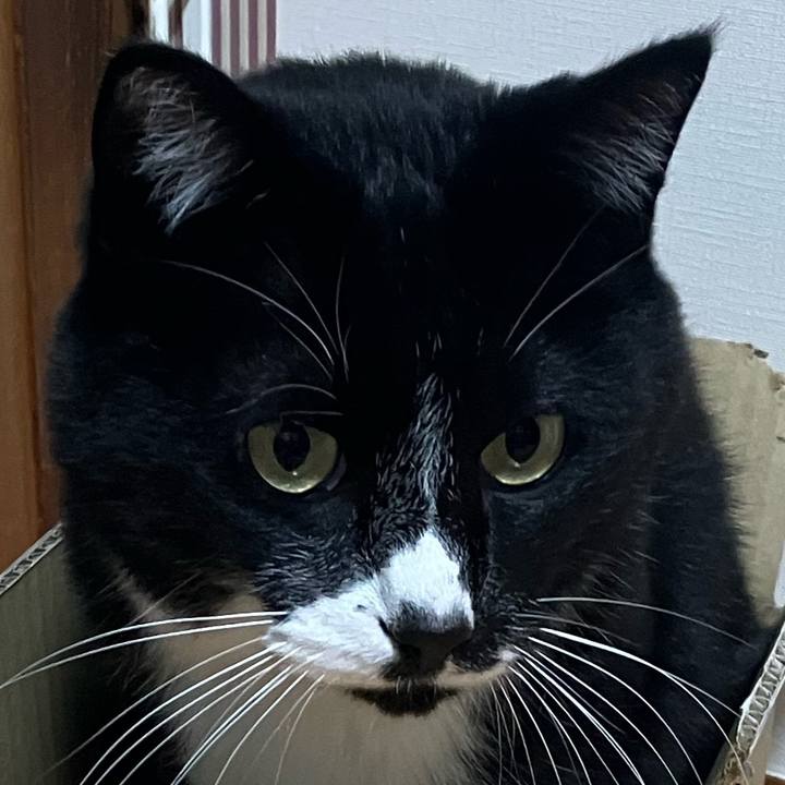 A46e2ee5 8410 4cbb a8a5 582cff5bbae1 1750044860508