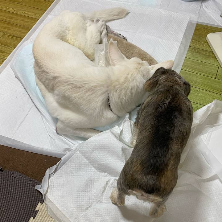 A46e5ec3 0377 458b 9bd0 23b5ecea44ac 1672483018687