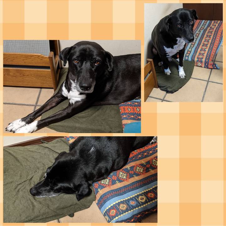 A46e63f3 bc16 4bcf 9b4f 85d5d92474f1 1702033105068