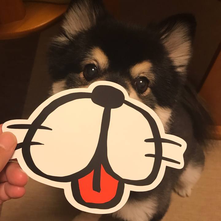 A46e7886 c804 487b bbe1 70a08379a528 1540915337591