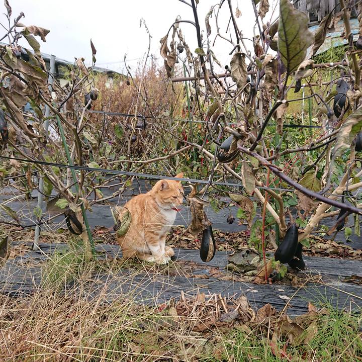 A46eaeff e1c4 4a32 92aa 1c48631e82f8 1573869768237