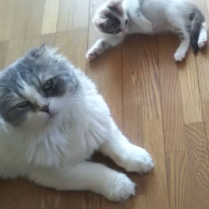 A46eb99d b4ca 45cf 80bd e2ef5c79cb96 1633307376281