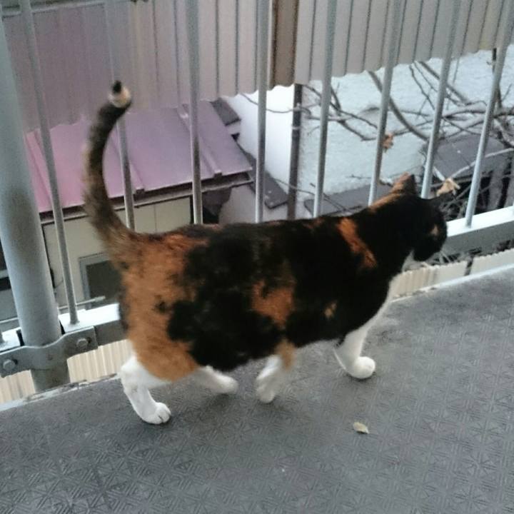 A46ebb07 eb45 4cda 8d8f 41d98979fad6 1517456913594