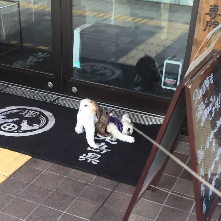 A46ed654 b52b 4354 8d1c ca53831d3d5a 1514714337115