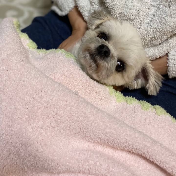 A46ee2a2 93f1 4fda ad5e 70fc31b154b3 1580134788494