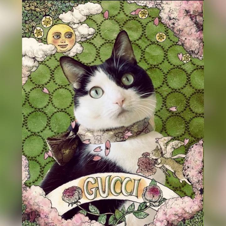 A46ee6be 21c0 4a10 8bf6 9daa39dc9563 1679437572882