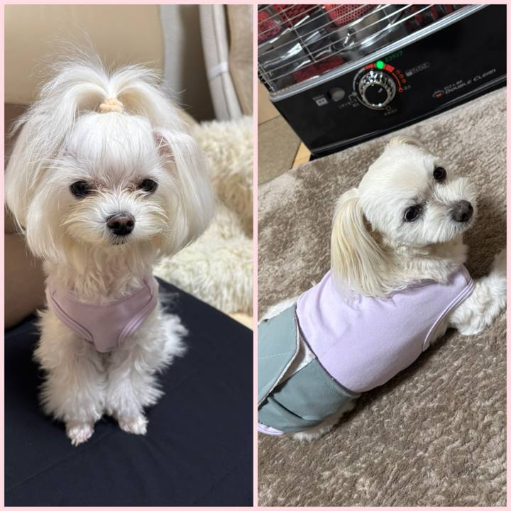 A46f7097 6b53 426a 9668 055d781e249c 1763367913471