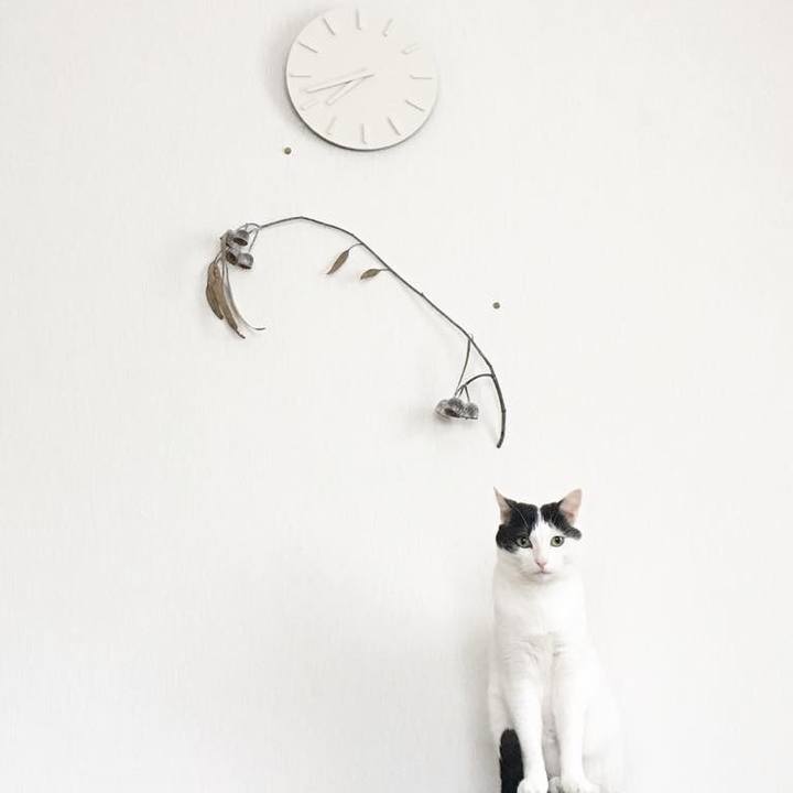 A46f9b53 c081 4228 bce1 4d654be2d6f9 1560120985322