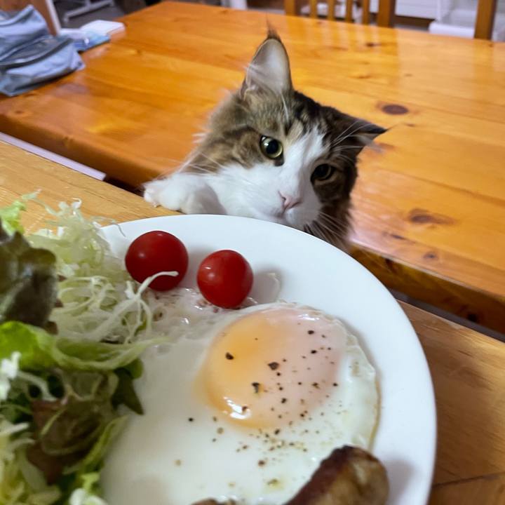 A46ff58e c7e9 4671 b9fe 103479ea79c2 1666299847921